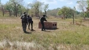 Filipino-American Forces Wrap Up Joint Combat Training at Nueva Ecija Base