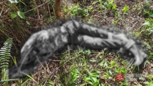 Two CTG Members Fall in Samar Military Operation, Weapons Seized