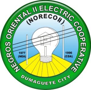 Transmission Line Failure Plunges Southern Negros Oriental Into Darkness