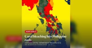Eastern PH Reefs Hit by Highest Coral Bleaching Alerts