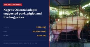 Negros Oriental Caps Pork Prices Amid Spreading ASF Crisis