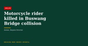 Motorcycle Rider Killed After Collision With Truck at Buswang Bridge in Amlan