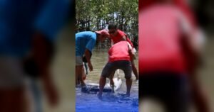 Guihulngan: Dead Dolphin Found with Propeller Wounds